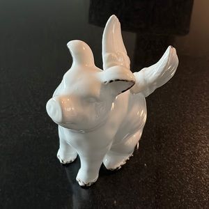 Flying Pig
